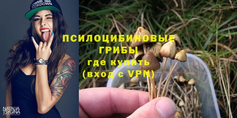 Псилоцибиновые грибы MAGIC MUSHROOMS  сколько стоит  Верхотурье 